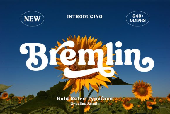Bremlin: A Bold Retro Display Font for Modern Web Design